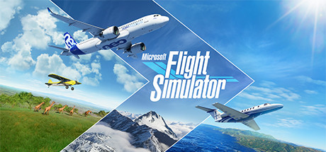 Microsoft Flight Simulator